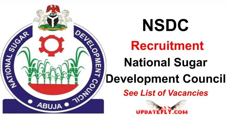 NSDC Jobs Recruitment 2023 Application Portal | See NSDC Application Requirements